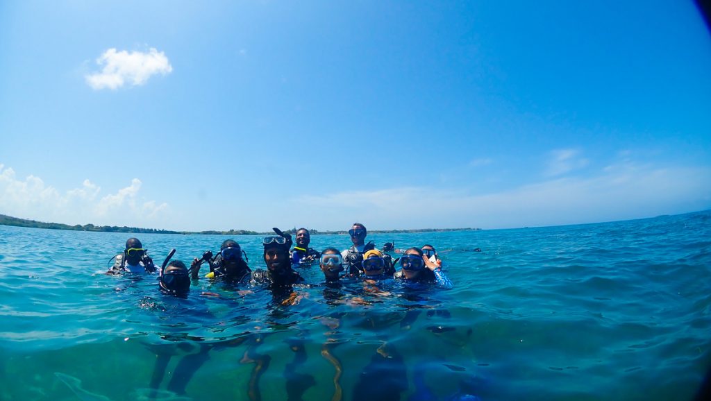 Un millon de recuerdos Corales de Paz Buceo con Proposito
